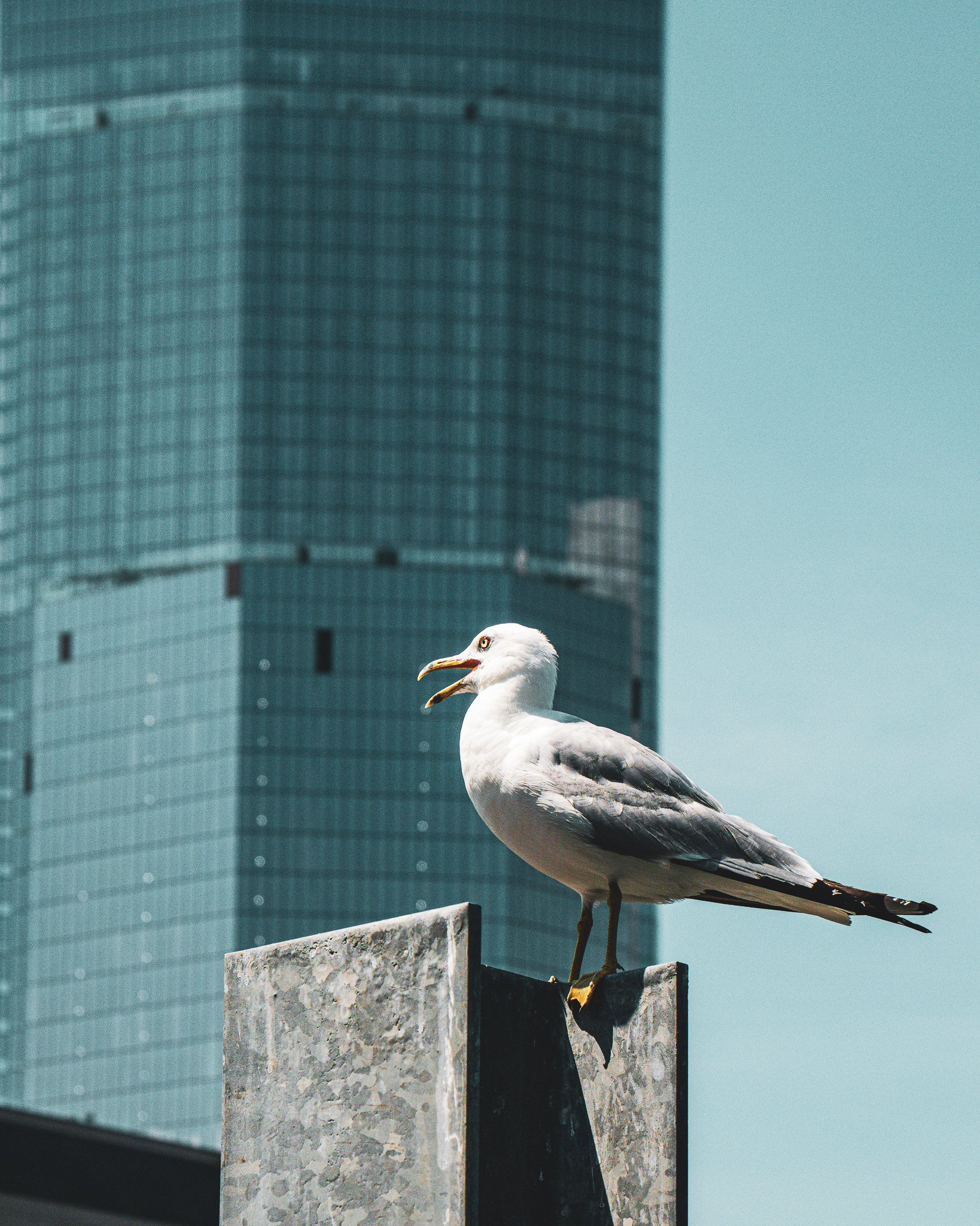 Architecture - Image 16