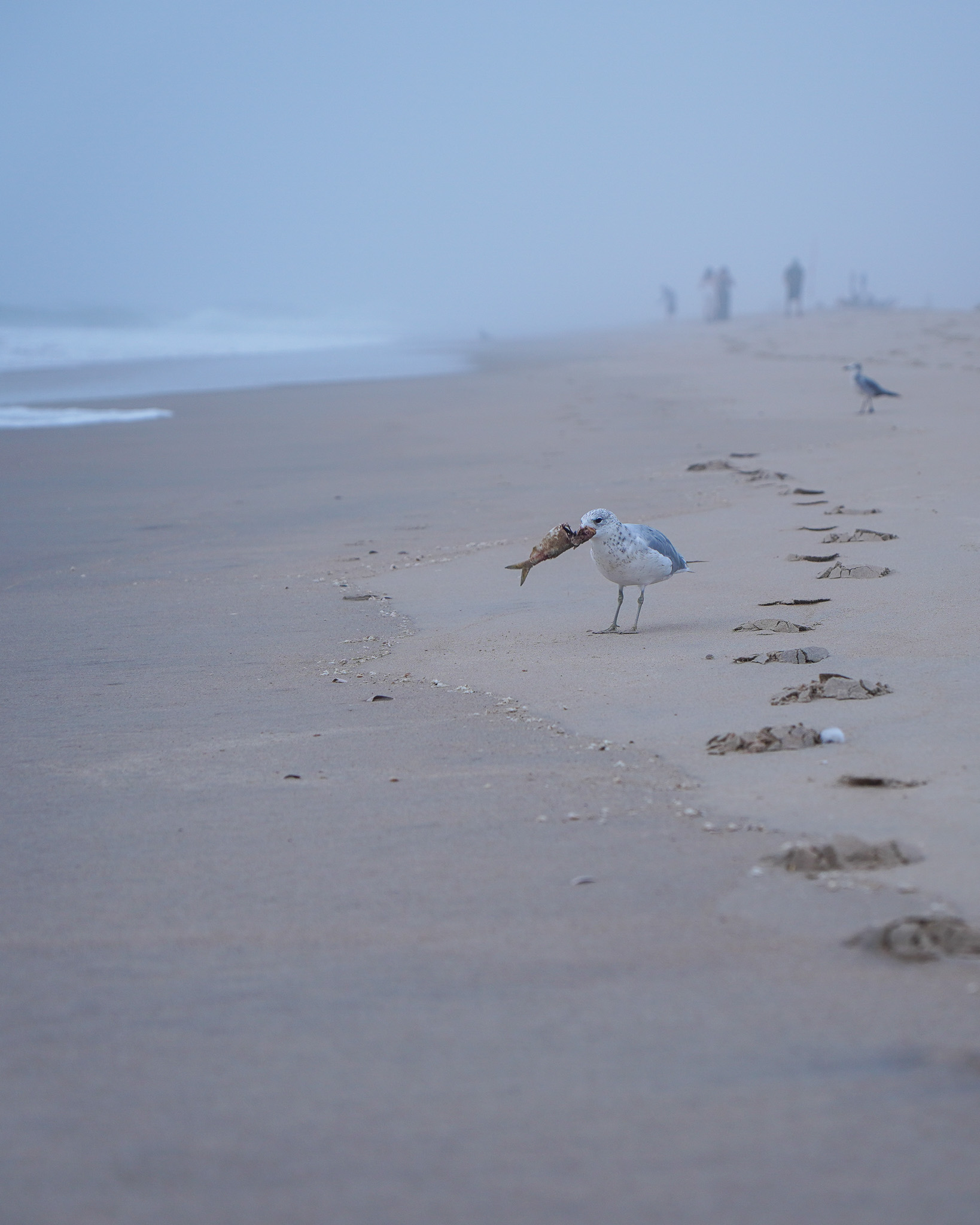 Light Studies - Photography