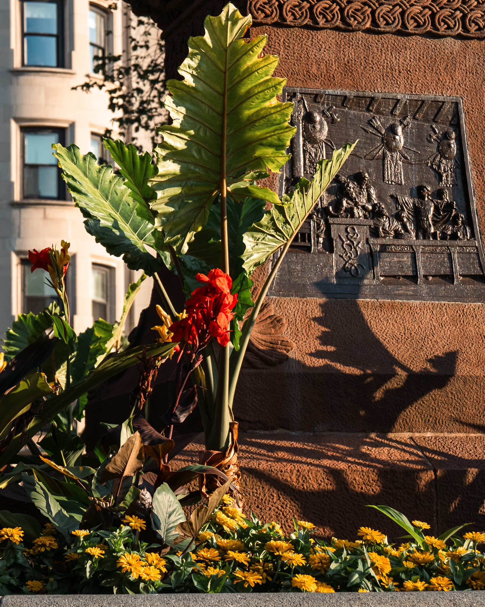 Light Studies - Photography