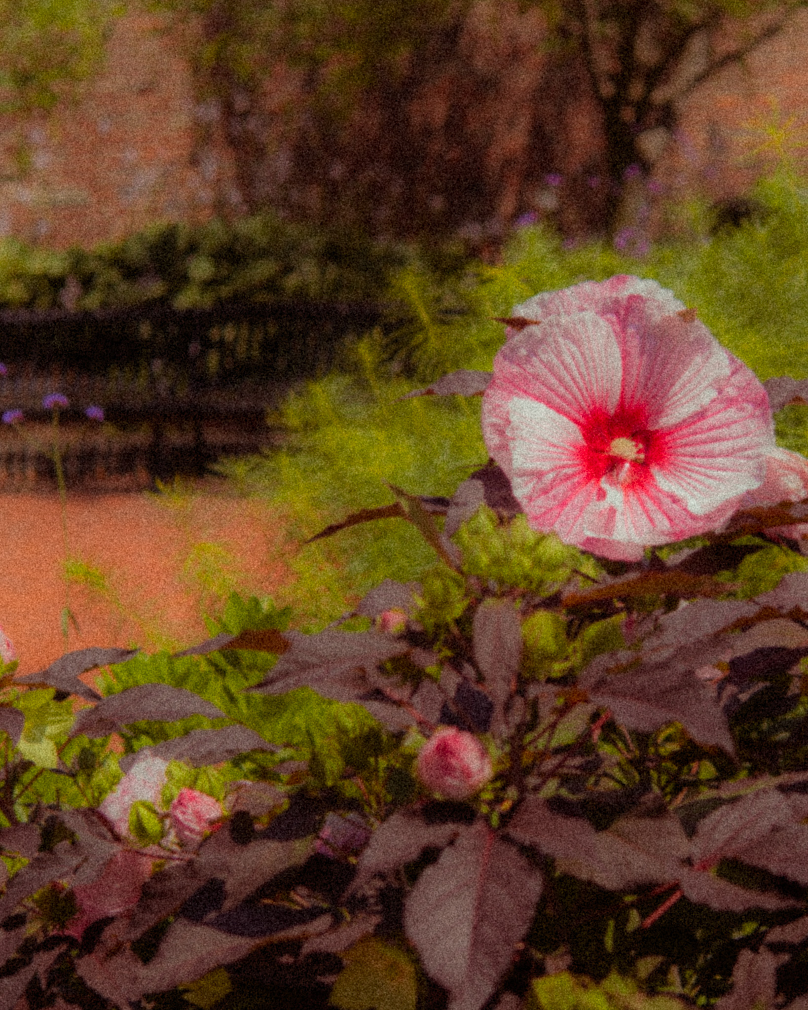 Light Studies - Image 14