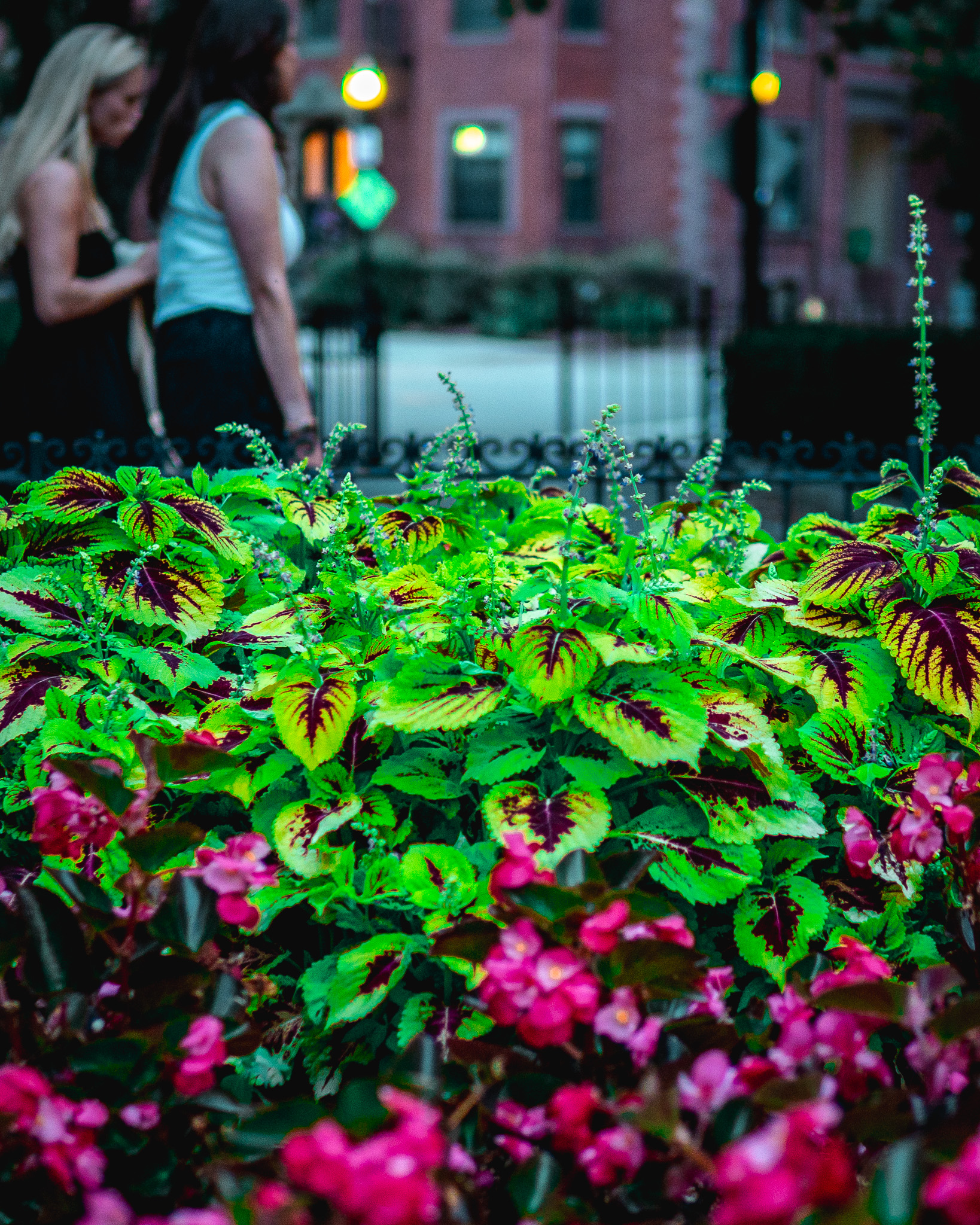 Light Studies - Image 19