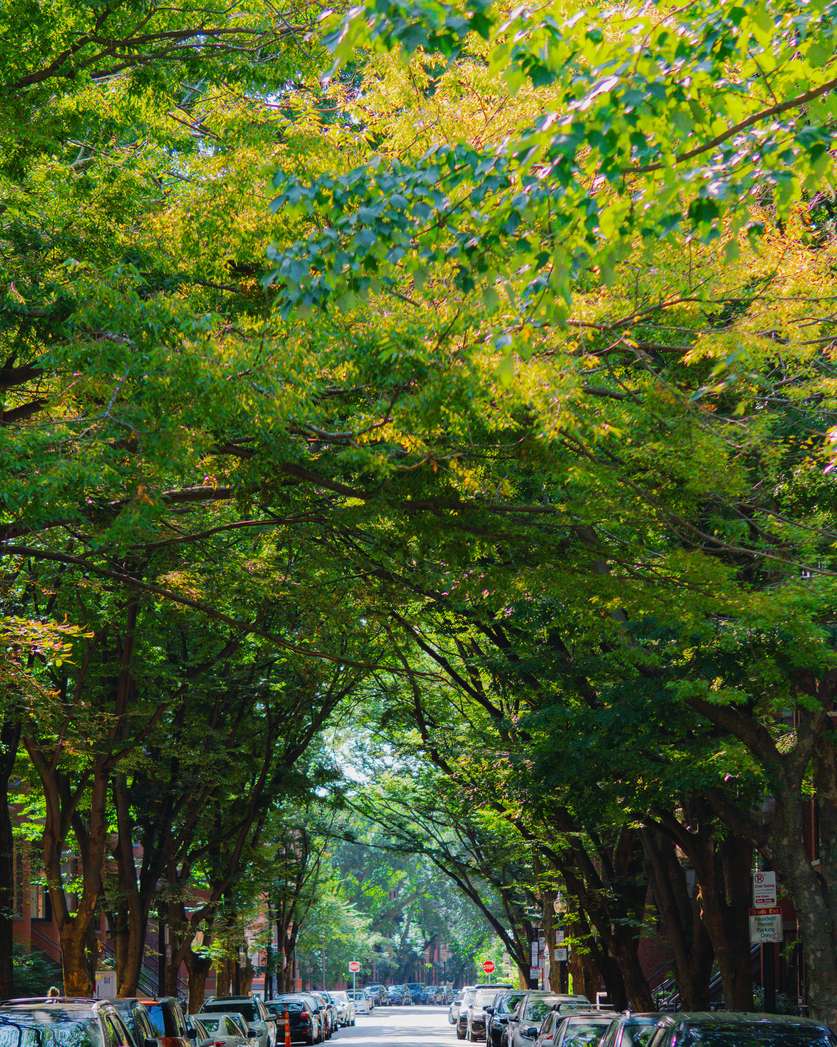 Light Studies - Image 21