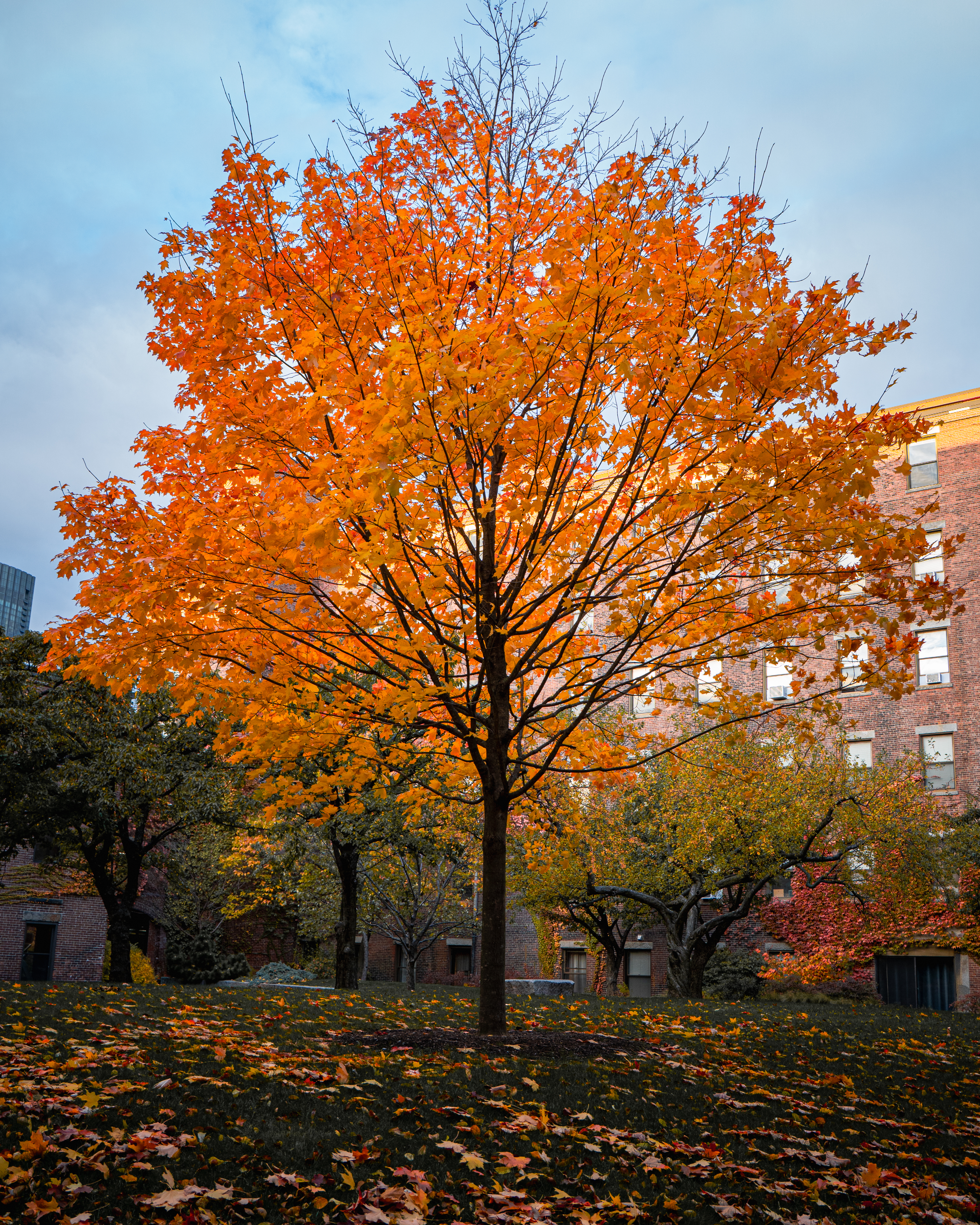 Urban Impressions - Image 20