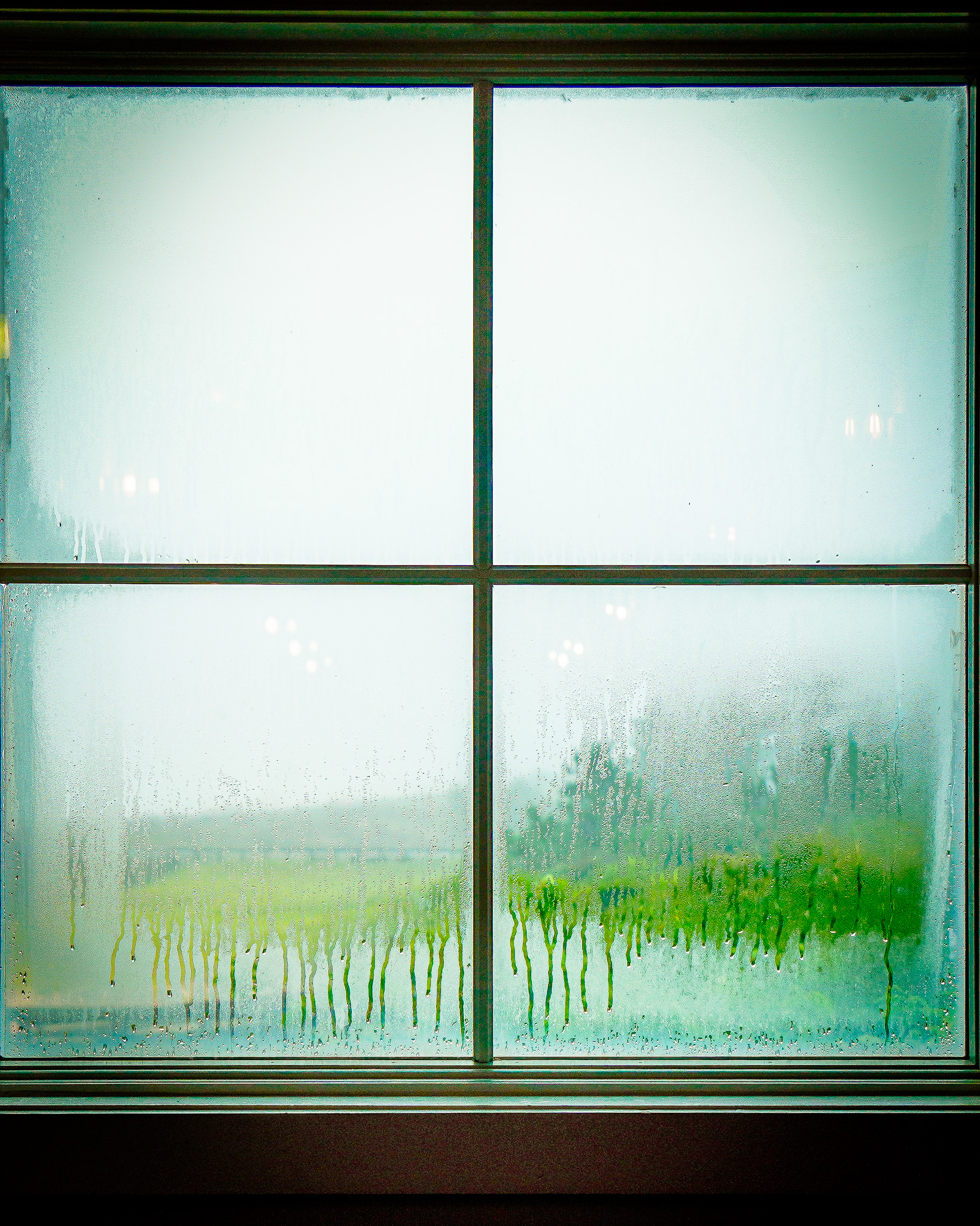 Urban Impressions - Image 27