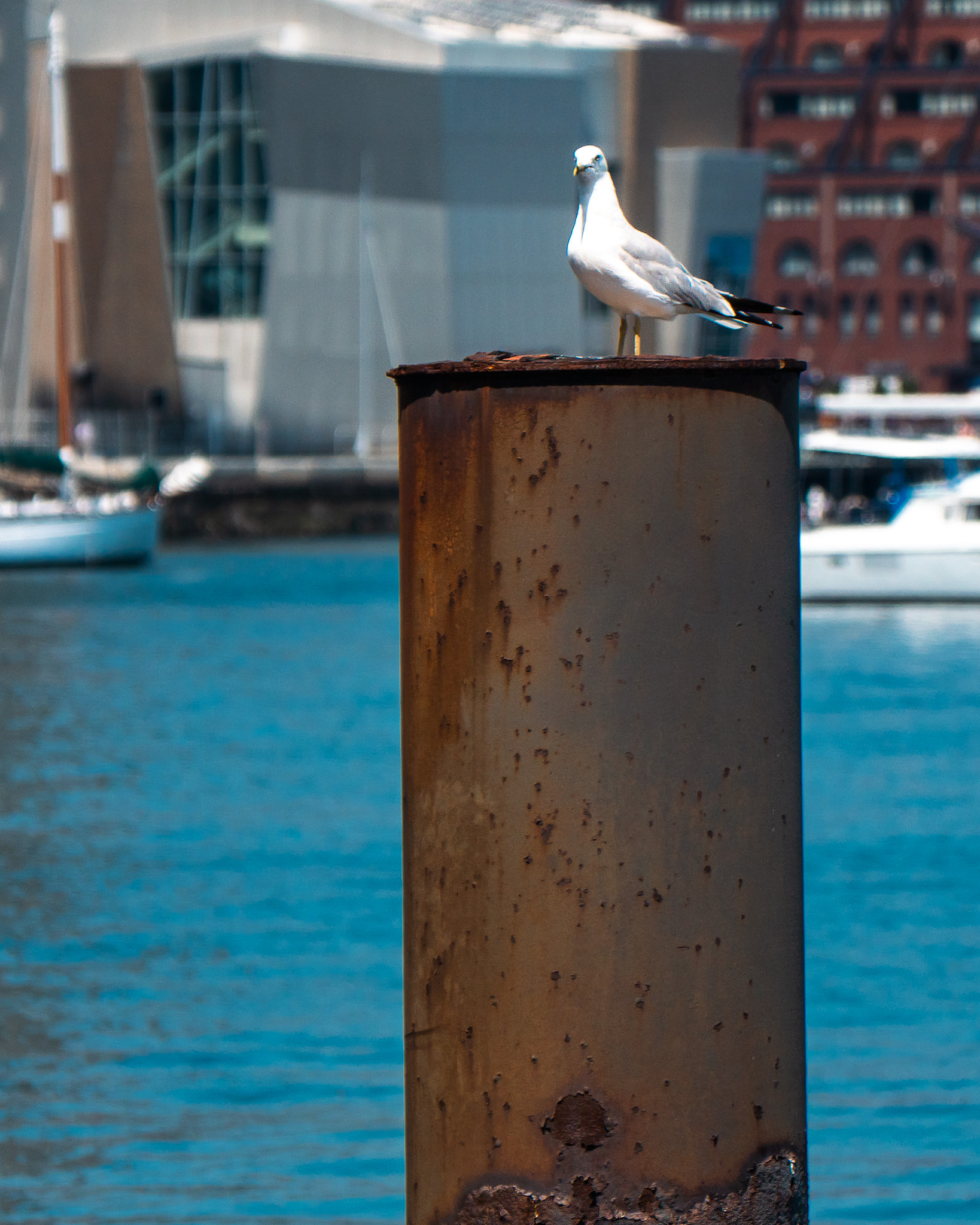 Urban Impressions - Image 7